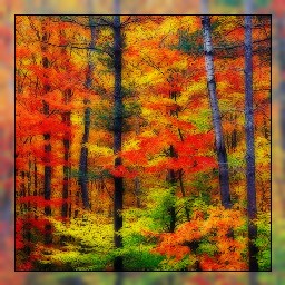 Frame FAA 01